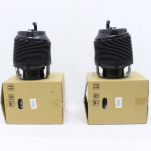 Toyota Sequoia 2008-2021 Rear Right & Left Pneumatic Cylinder Assembly