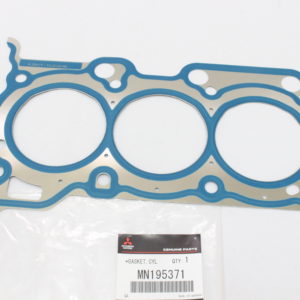 MN195371201
