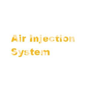 Air Injection System