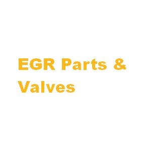 EGR Parts & Valves